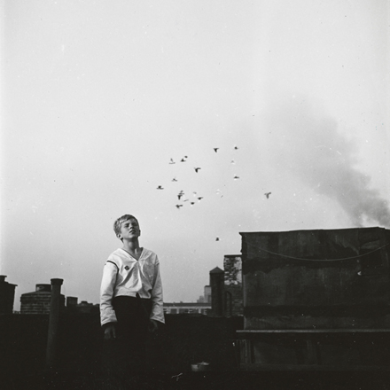 Stanley Kubrick. Shoe Shine Boy [Mickey at a rooftop pigeon coop.], 1947. Museum of the City of New York. X2011.4.10368.58